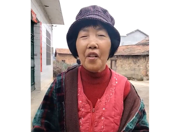 视频案例